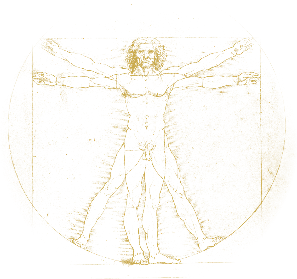 Leonardo da Vinci's Vitruvian Man, symbolizing balance between wealth and well-being
